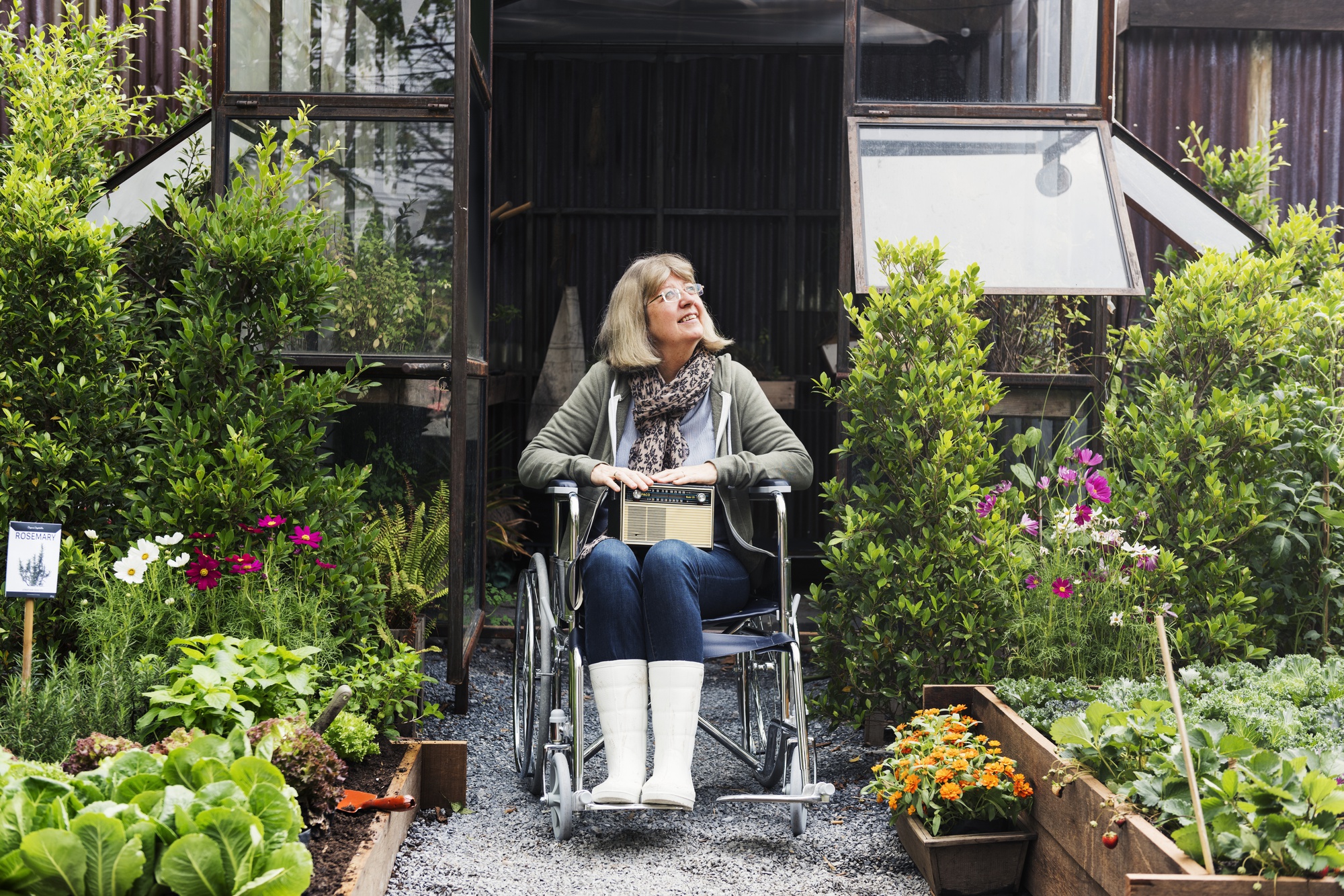 Accommodation Assistance (SIL)